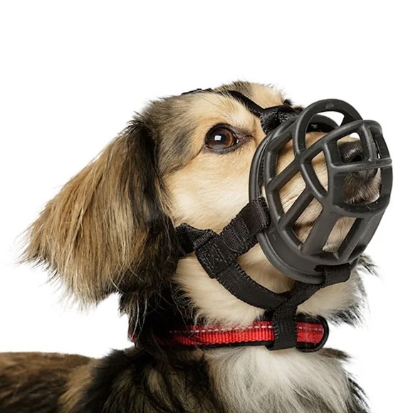Dog muzzle. Never used. - Picture 6 of 6